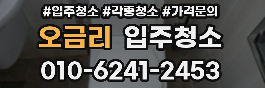 오금리 이사청소