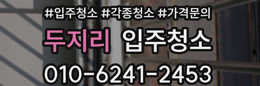 두지리 이사청소