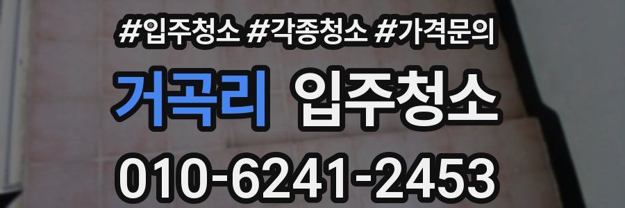 거곡리 이사청소