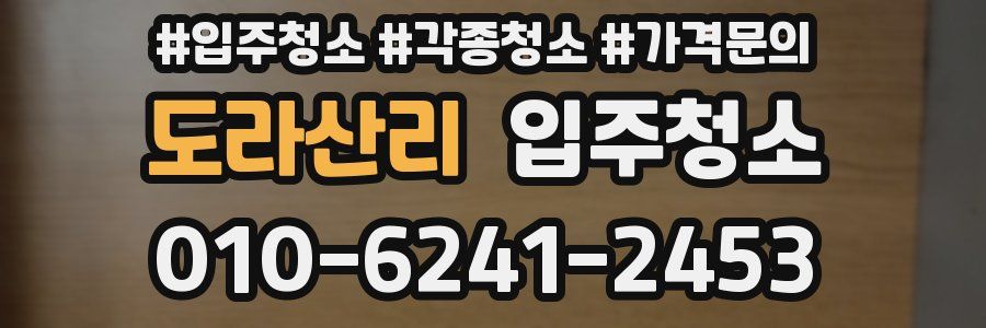 도라산리 이사청소