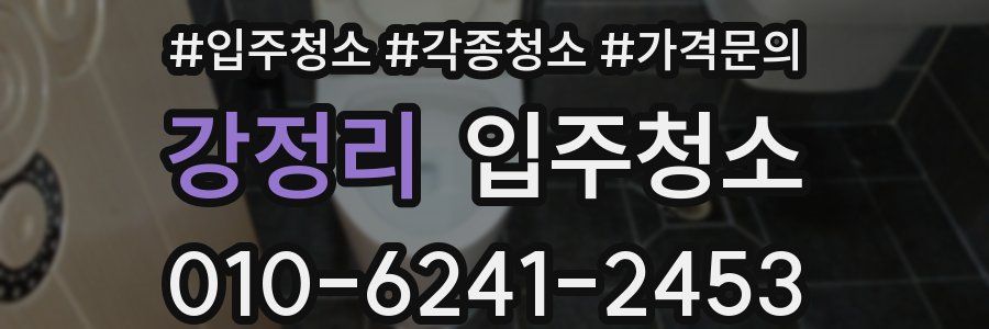 강정리 이사청소