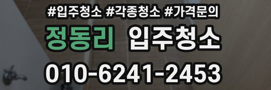 정동리 이사청소