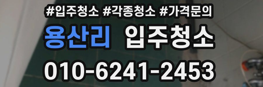 용산리 이사청소