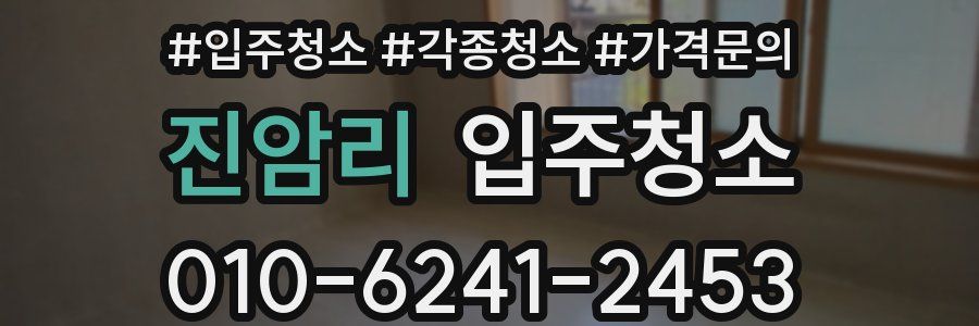 진암리 이사청소