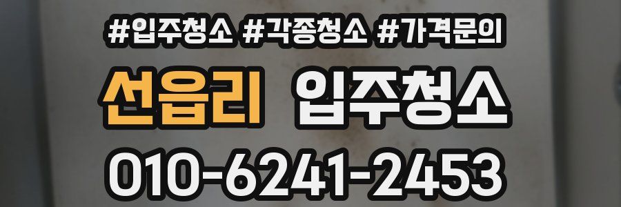 선읍리 이사청소