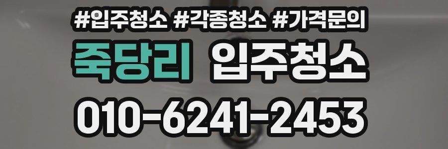 죽당리 이사청소