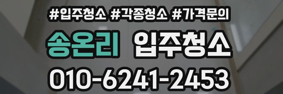 송온리 이사청소