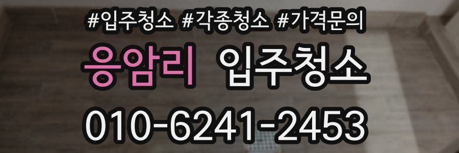 응암리 이사청소