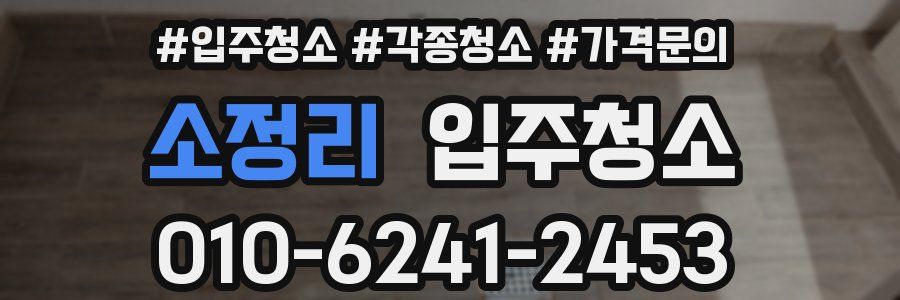 소정리 이사청소