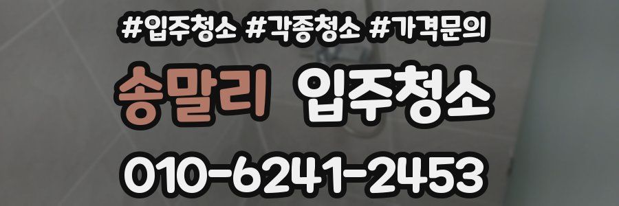 송말리 이사청소