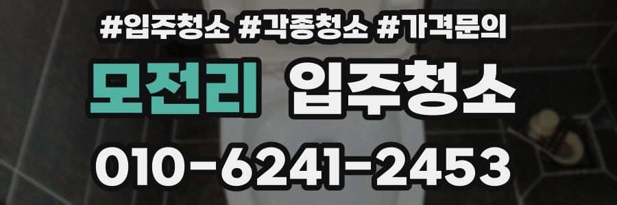 모전리 이사청소