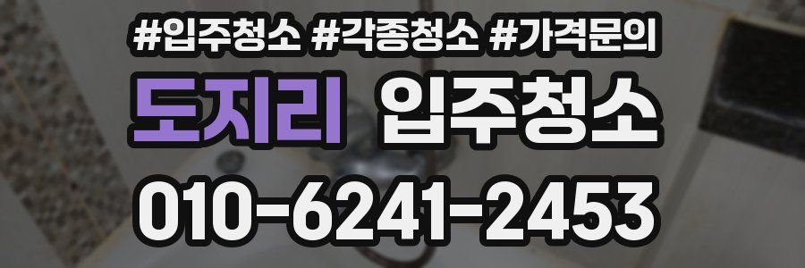 도지리 이사청소