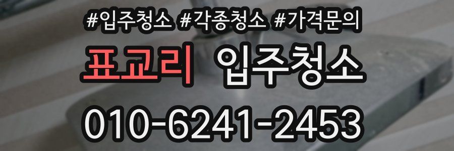 표교리 이사청소