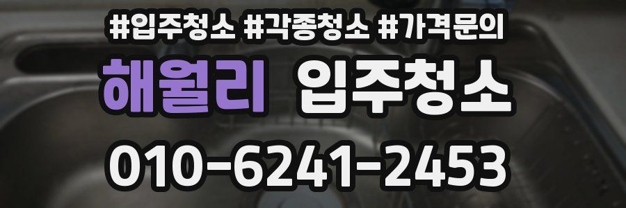 해월리 이사청소