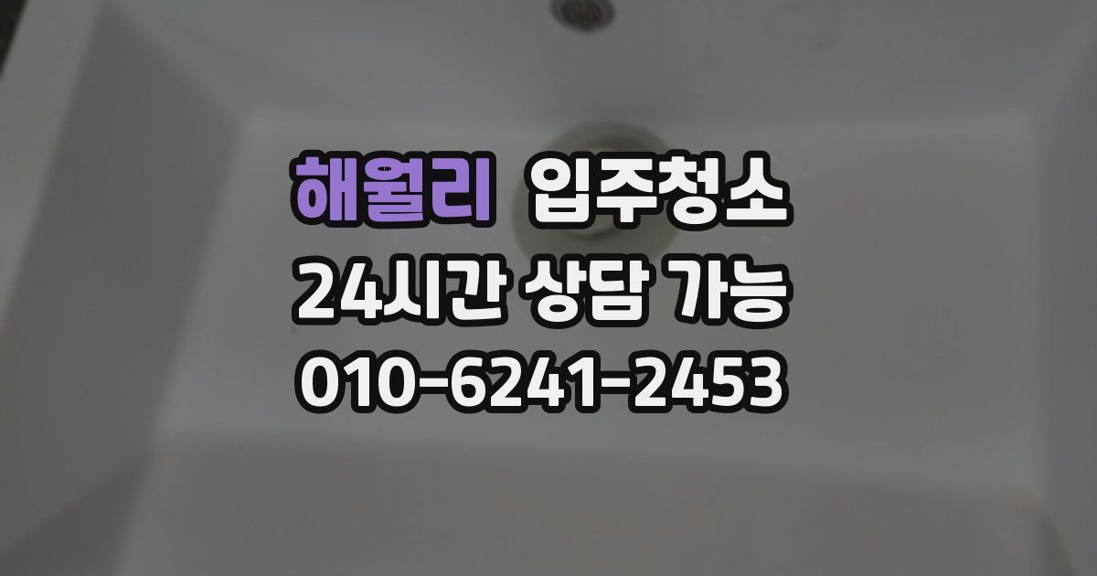 해월리 입주청소