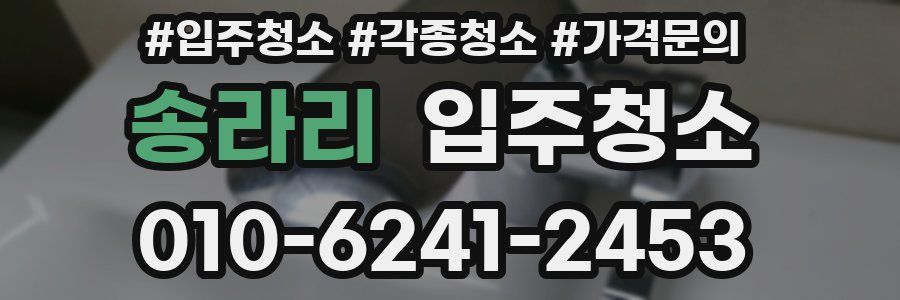 송라리 이사청소