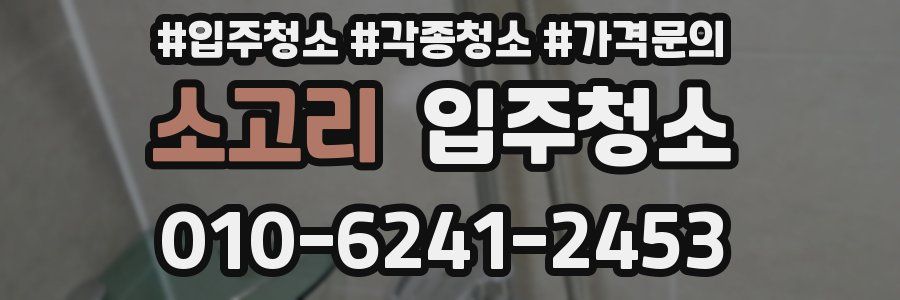 소고리 이사청소