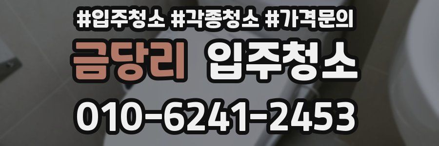 금당리 이사청소