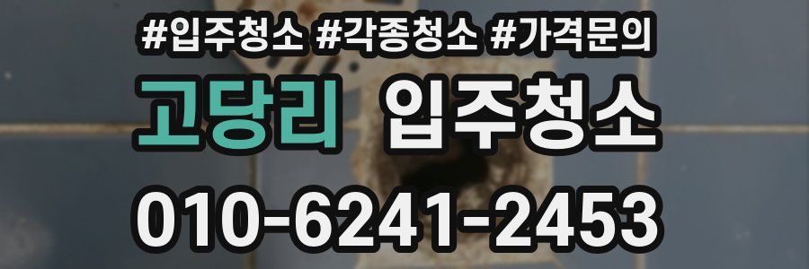 고당리 이사청소