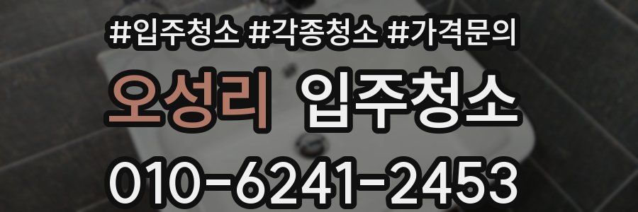 오성리 이사청소