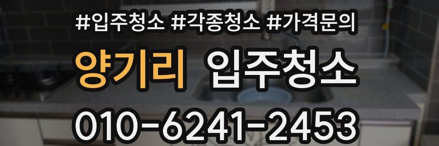 양기리 이사청소