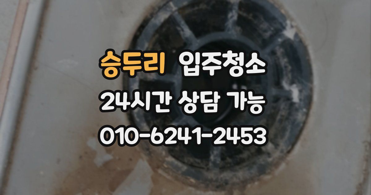 승두리 입주청소