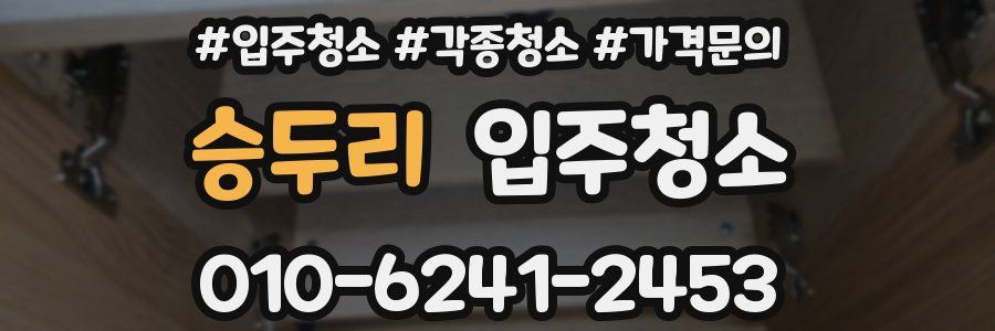 승두리 이사청소