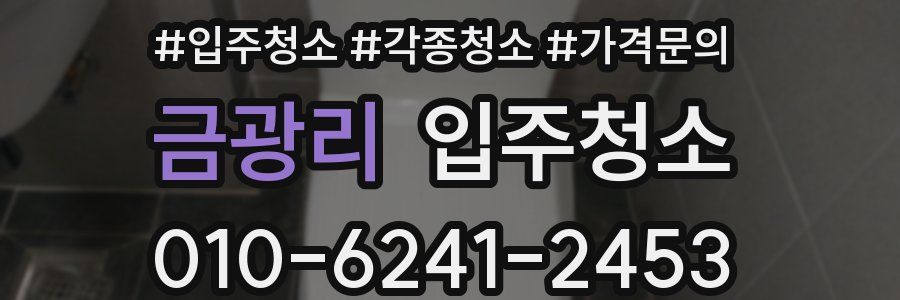 금광리 이사청소