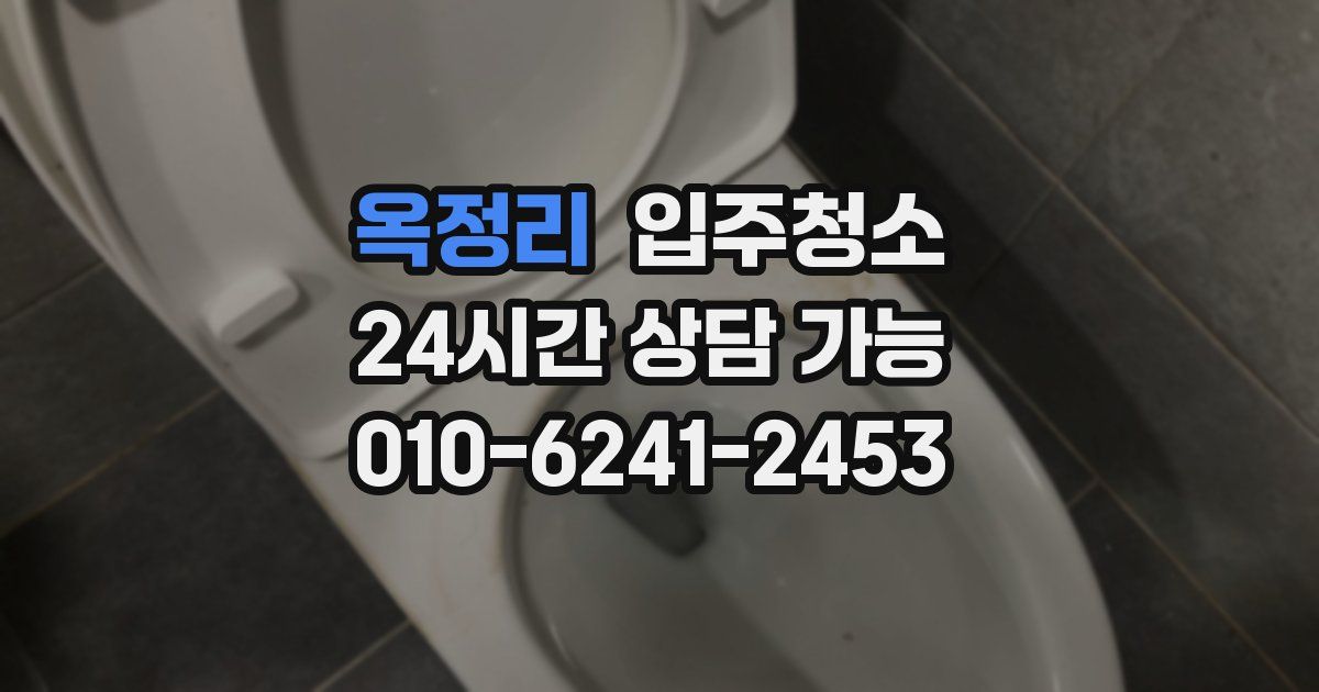 옥정리 입주청소