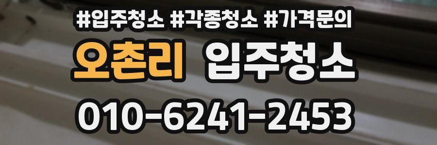 오촌리 이사청소