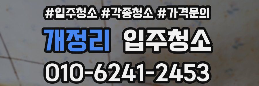 개정리 이사청소