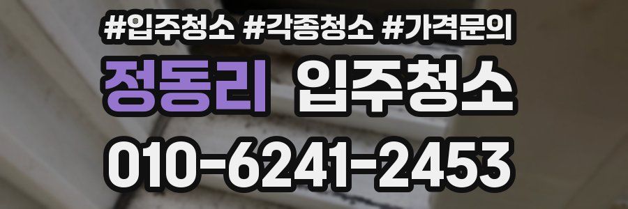 정동리 이사청소