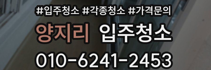 양지리 이사청소