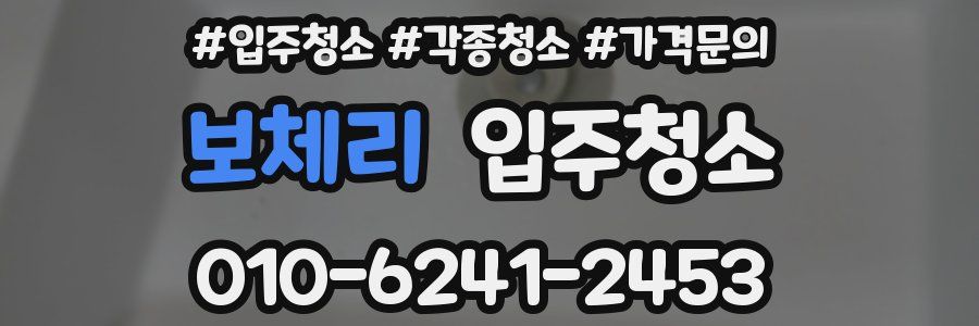 보체리 이사청소