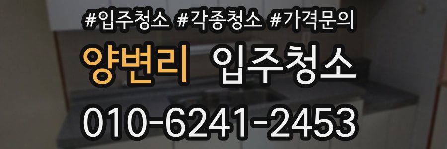 양변리 이사청소