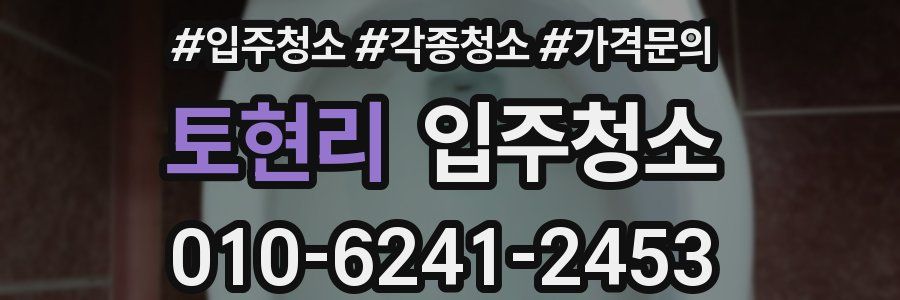 토현리 이사청소