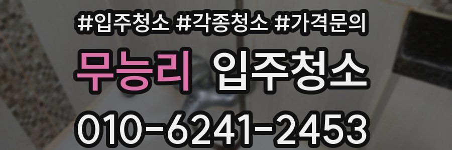 무능리 이사청소