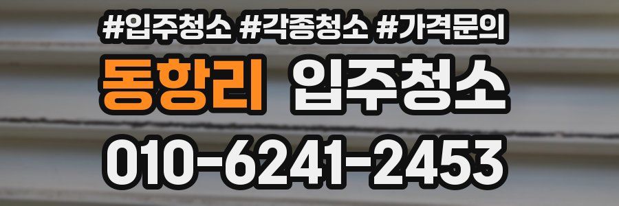 동항리 이사청소