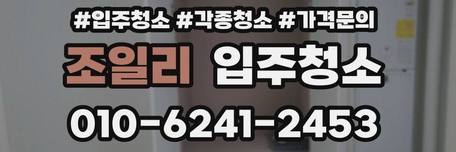 조일리 이사청소