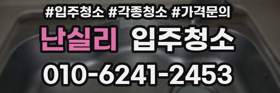 난실리 이사청소