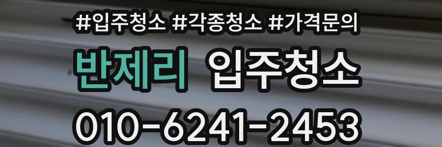 반제리 이사청소