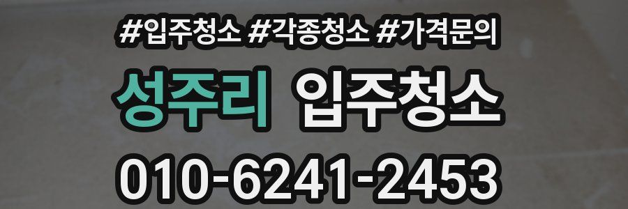 성주리 이사청소