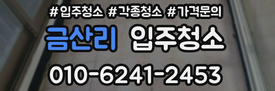 금산리 이사청소