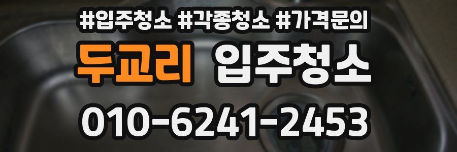 두교리 이사청소