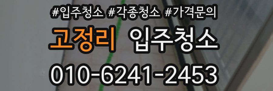 고정리 이사청소