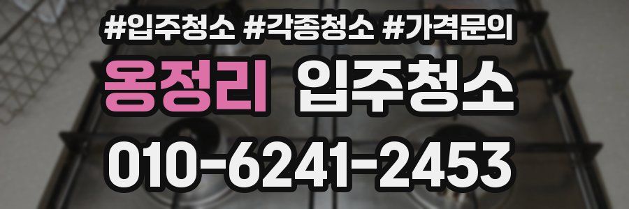 옹정리 이사청소