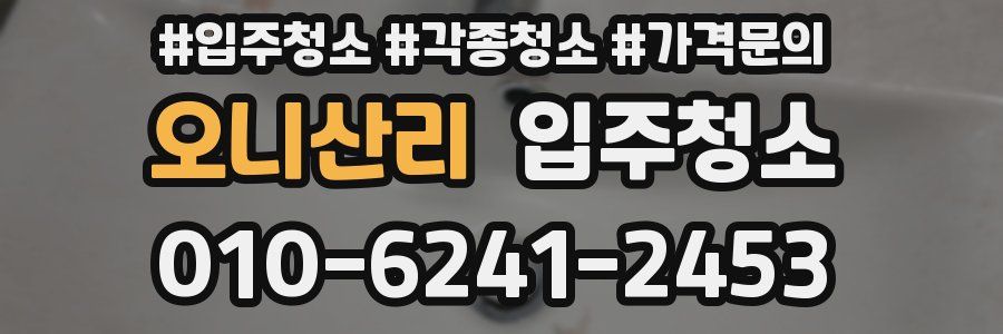 오니산리 이사청소