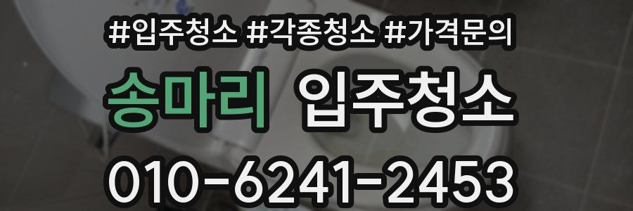 송마리 이사청소