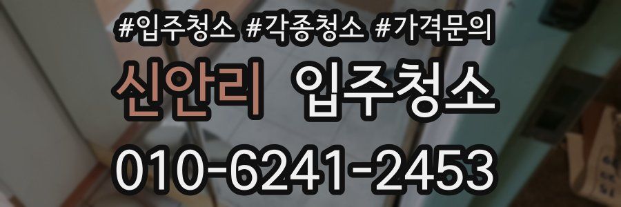 신안리 이사청소