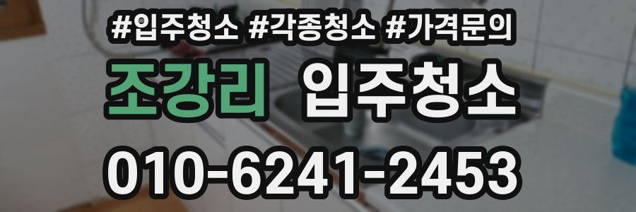 조강리 이사청소